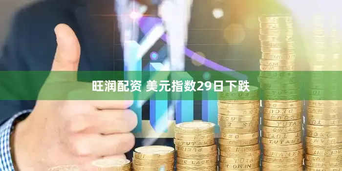 旺润配资 美元指数29日下跌